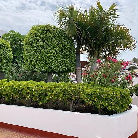 Ocean Breeze And Seaview Resort Costa Adeje  ภายนอก รูปภาพ