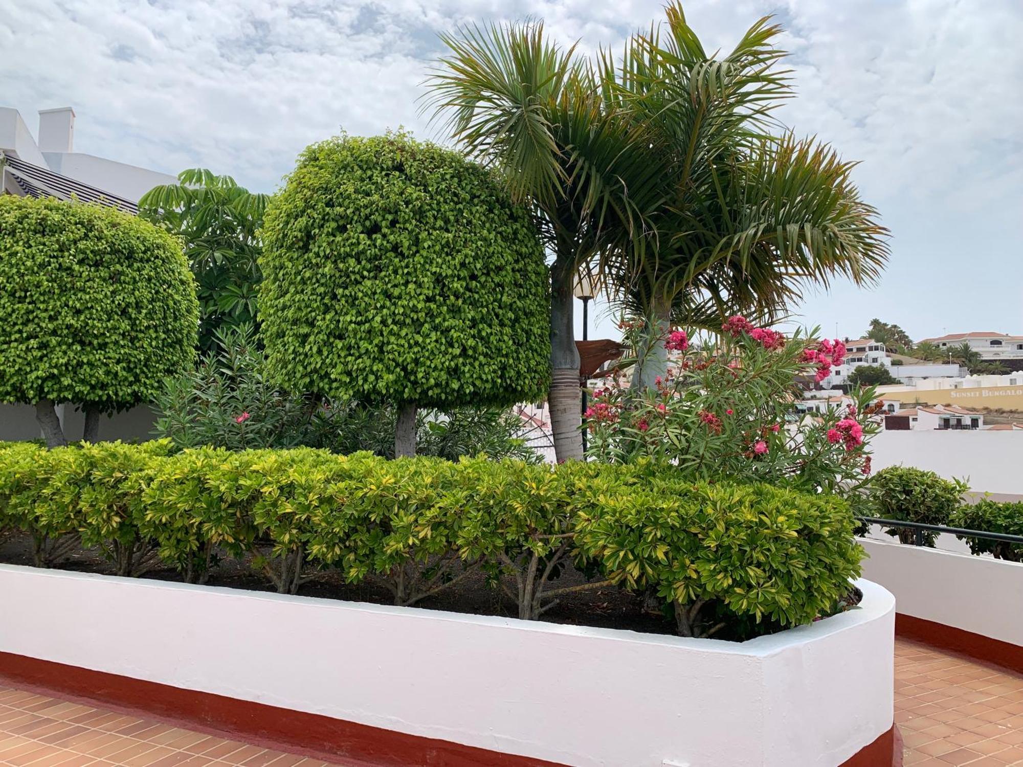 Ocean Breeze And Seaview Resort Costa Adeje  ภายนอก รูปภาพ